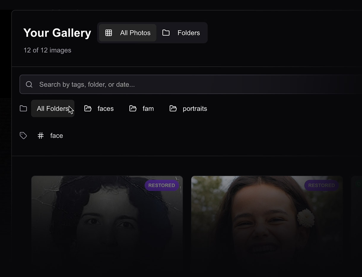 Gallery overview showing organized folders, tags, and photo collections